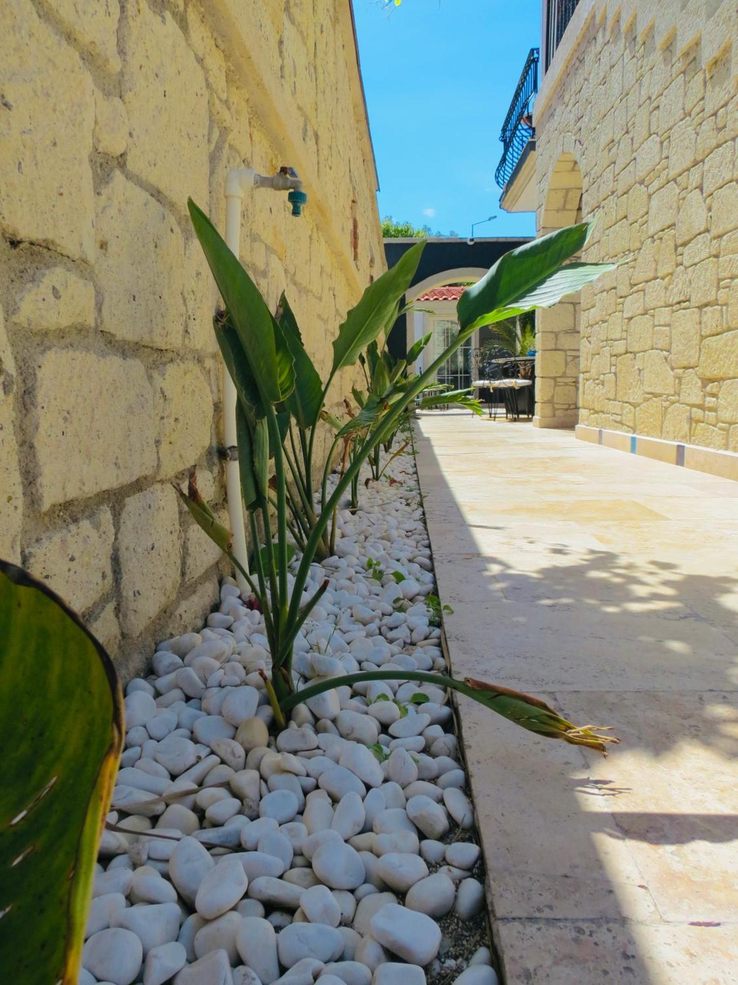 Fedora Otel Alacati Kültér fotó