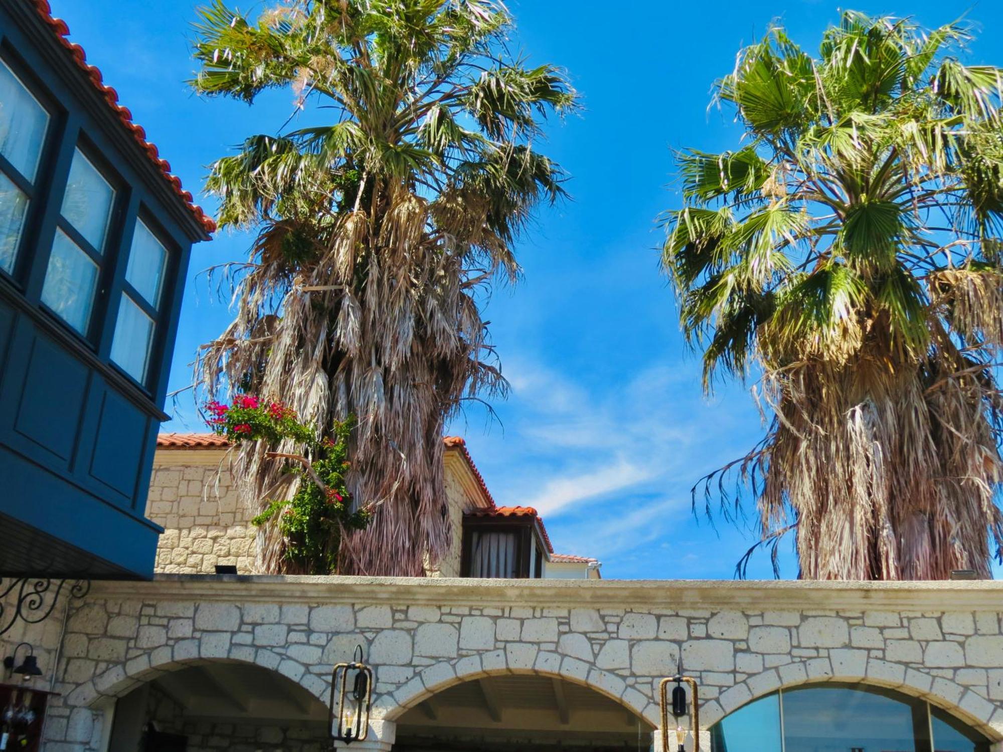 Fedora Otel Alacati Kültér fotó